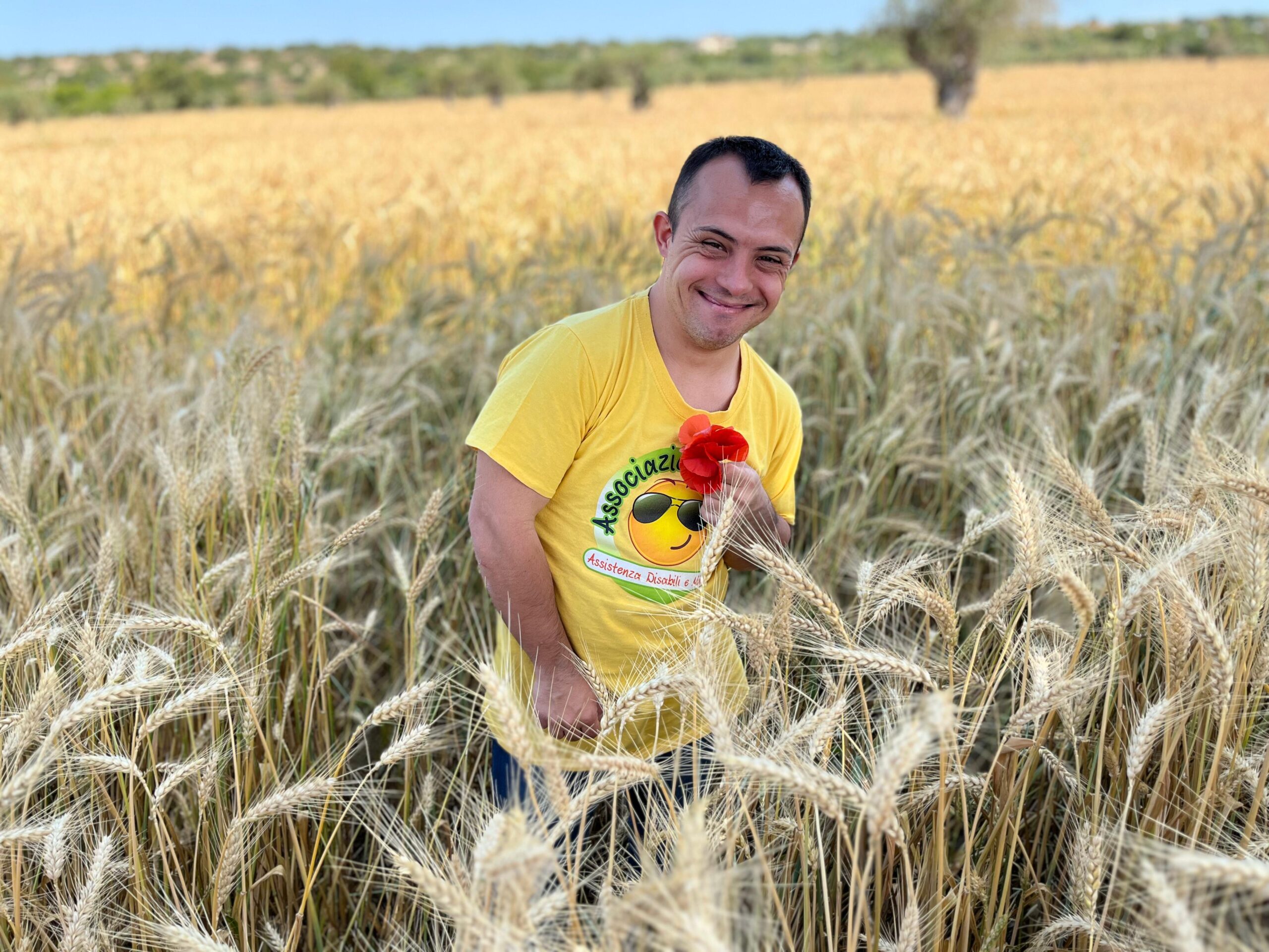DALLA SPIGA AL PIATTO